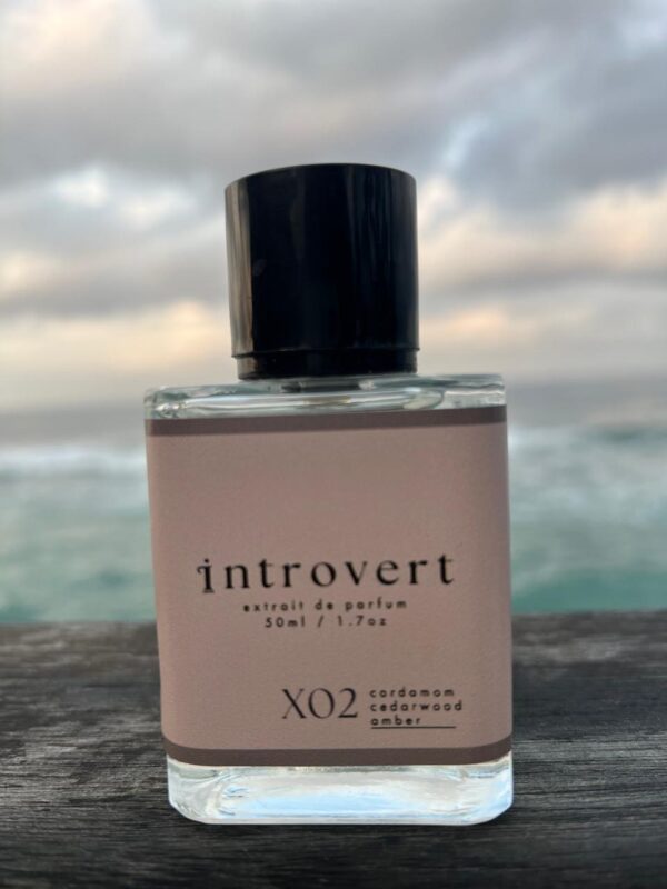 X02 Amber - Image 12