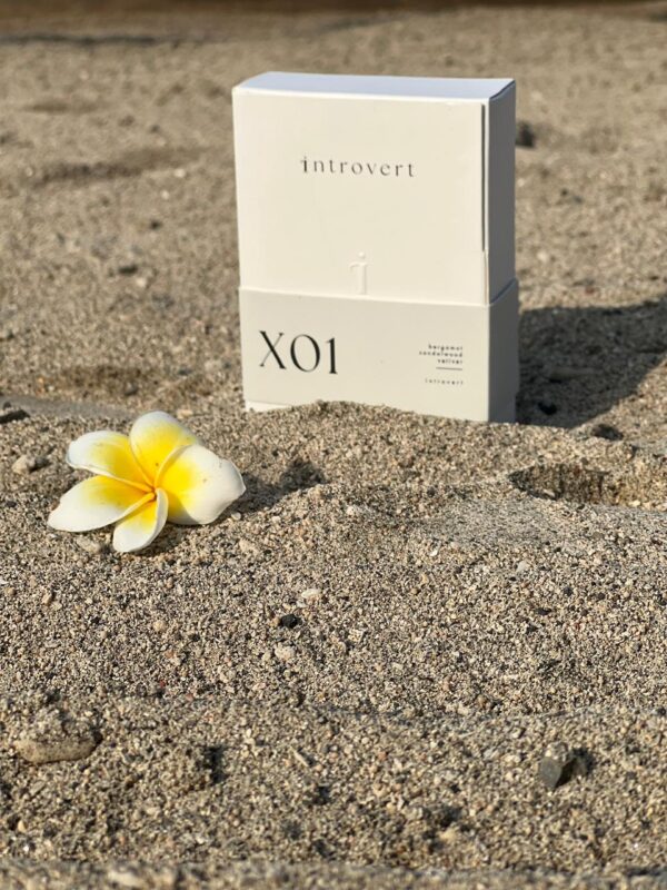 X01 Vetiver - Image 6