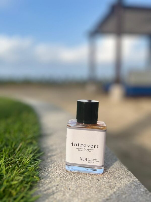 X01 Vetiver - Image 4