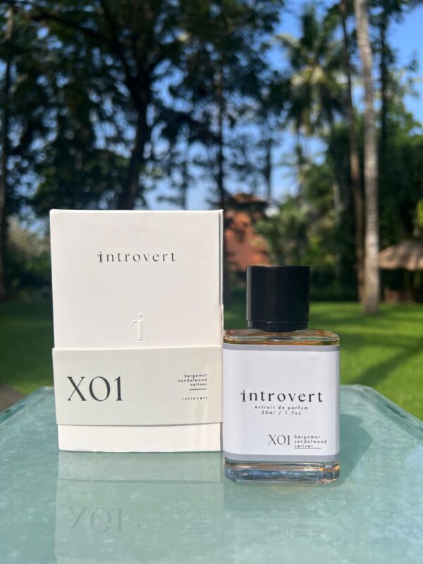 X01 Vetiver - Image 3