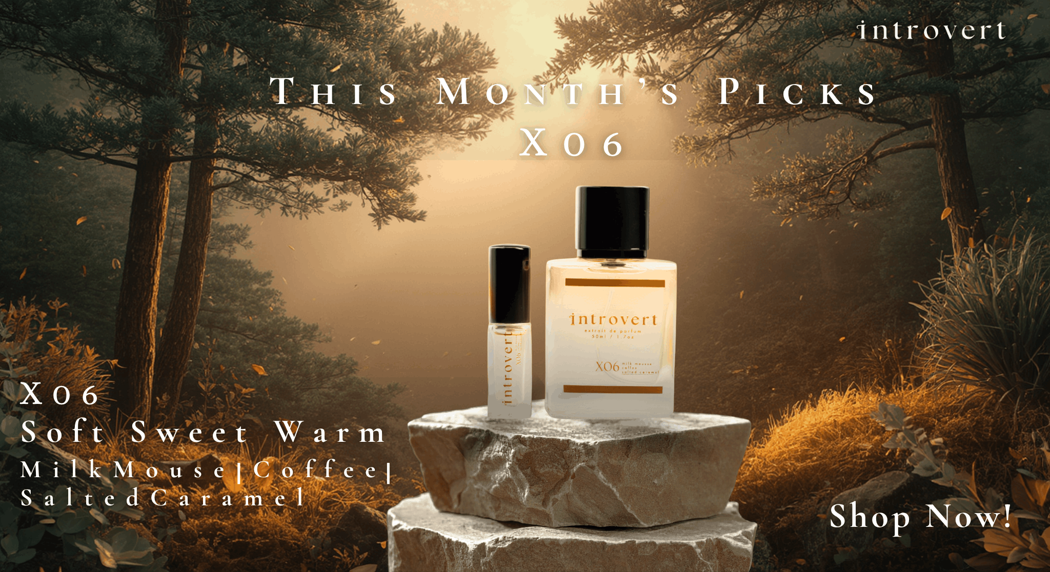 https://introvertperfume.com/product/introvert-x06-extrait-de-parfum-50ml/